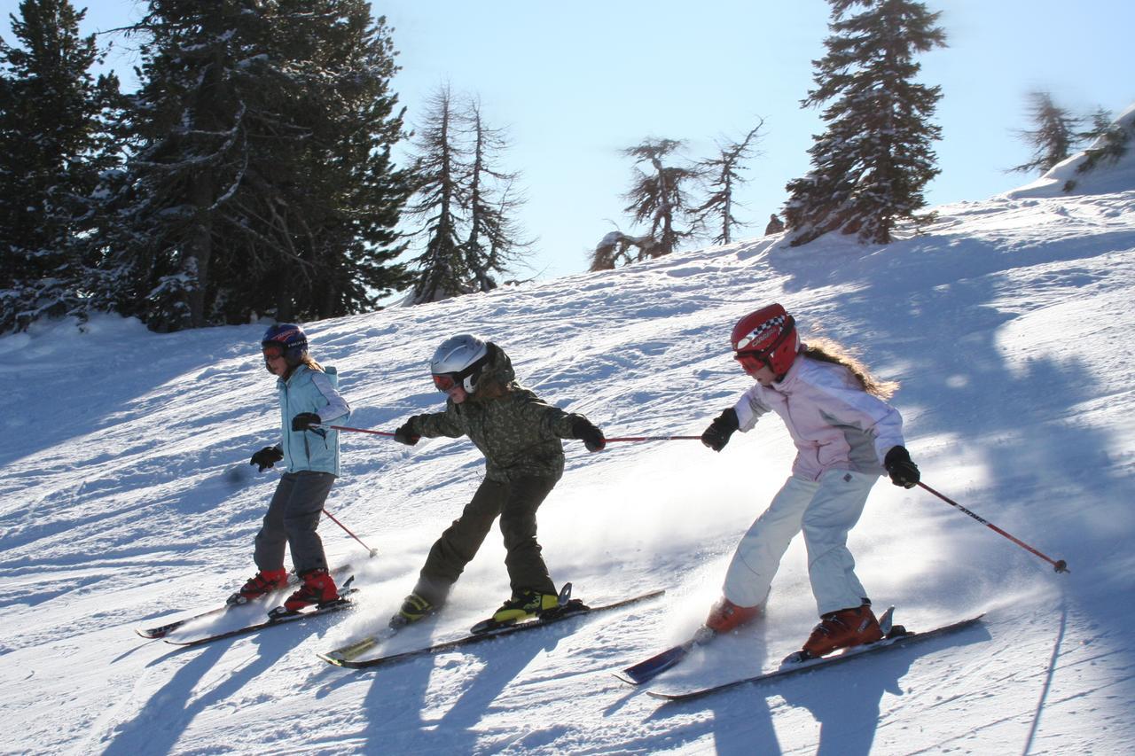 Chaletdorf-Fanningberg Weisspriach ภายนอก รูปภาพ