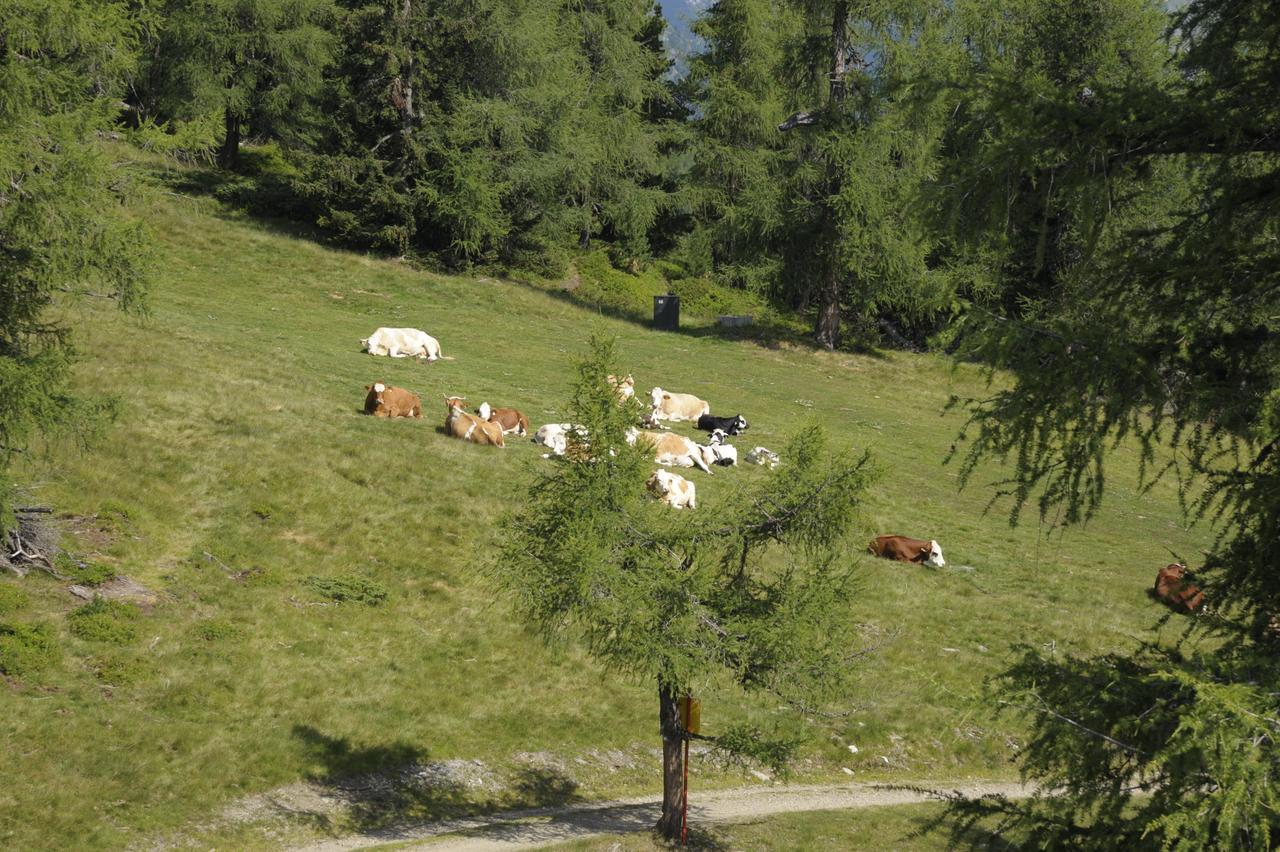 Chaletdorf-Fanningberg Weisspriach ภายนอก รูปภาพ