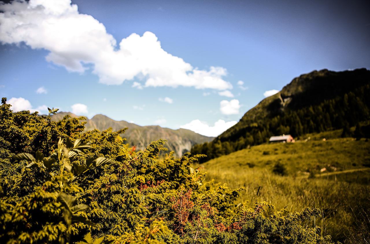 Chaletdorf-Fanningberg Weisspriach ภายนอก รูปภาพ
