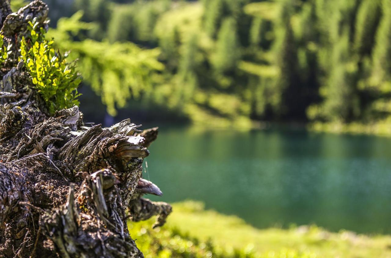 Chaletdorf-Fanningberg Weisspriach ภายนอก รูปภาพ